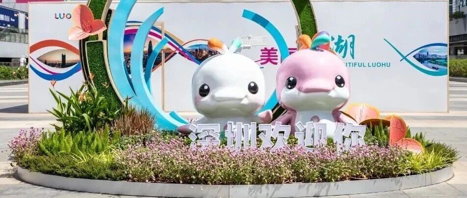 是“大灣雞”魔法，還是“數(shù)字及廣告標(biāo)識”行業(yè)新秘籍？